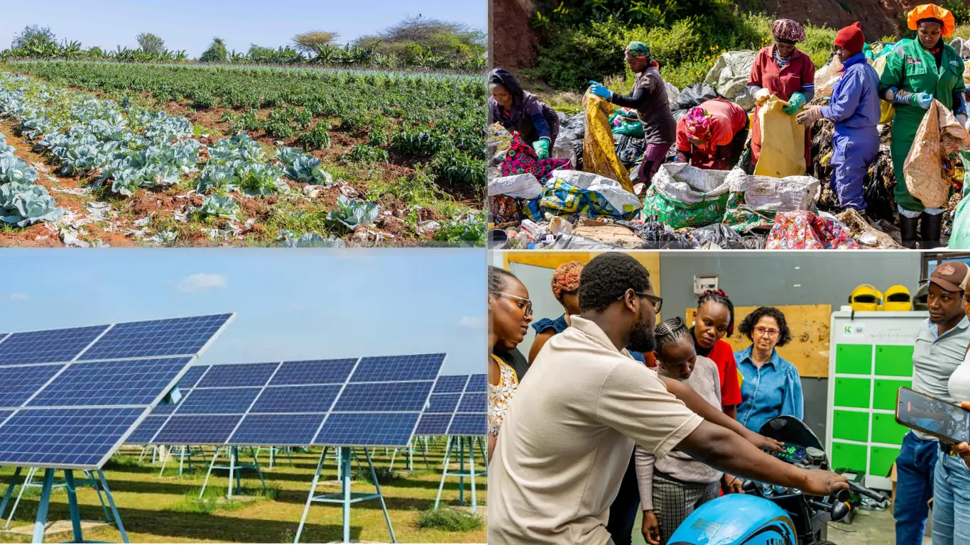 Climate entrepreneurs working across agriculture, energy, and mobility