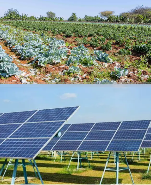 Climate enterprises working across agriculture, recycling, solar energy, and electric mobility